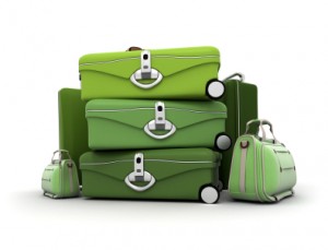 travel, luggage